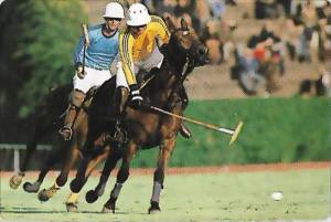 calendarios deportivos 1 0005 capa