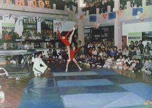 base cama elastica camp nac lf1 0000s 0000 capa