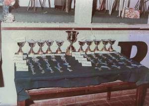 base cama elastica camp nac lf1 0000s 0001 capa