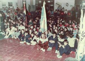 base cama elastica camp nac lf1 0000s 0007 capa