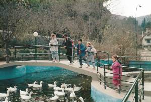 cama elastica azotea