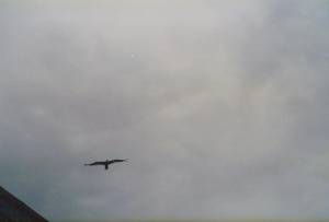 ciudades visitadas ht 2 0106 capa