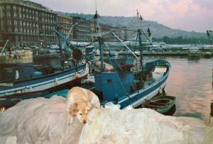 ciudades visitadas ht 2 0131 capa