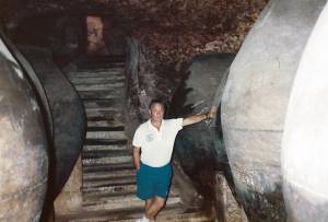 ciudades visitadas ht 2 0024 capa