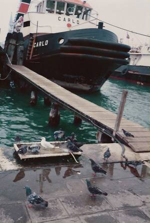 ciudades visitadas vert 1 0030 capa