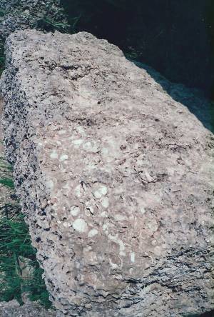 ciudades visitadas vert 1 0051 capa