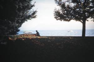 caja 3 a ok 0021 capa