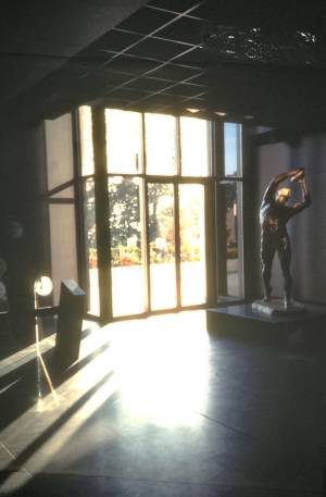 caja 3 vertical 1 0008 capa