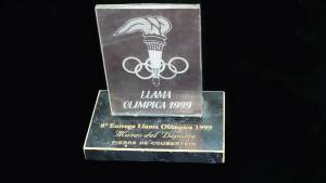 sesion 21 11 0012 capa