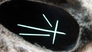 sesion 26 y 27 02 24 hor 1 0026 capa