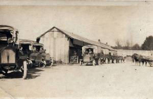 vitrina guerra 1 0002 capa