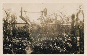 vitrina guerra 1 0008 capa