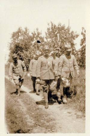 vitrina guerra 2 0002 capa