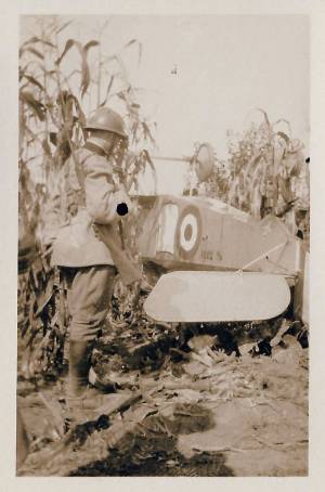 vitrina guerra 2 0003 capa