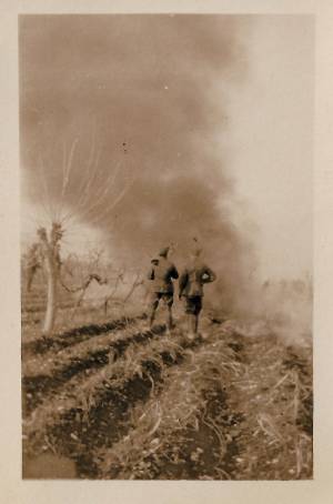 vitrina guerra 2 0007 capa