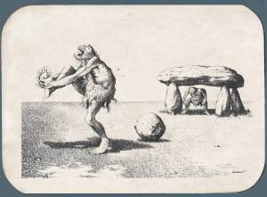 fifa vert 1 0000 capa