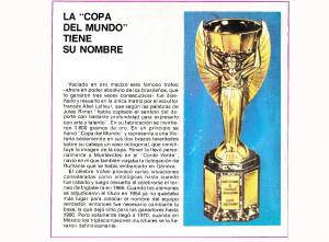 fifa vert 1 0002 capa