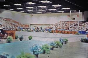 4ta caja diap b 0008 capa