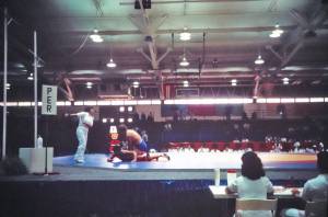 4ta caja diap c def 0050 capa