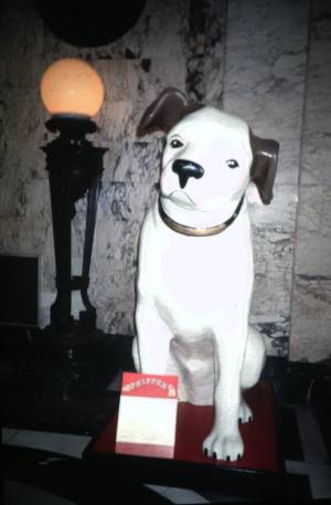 4ta vertical b 0002 capa