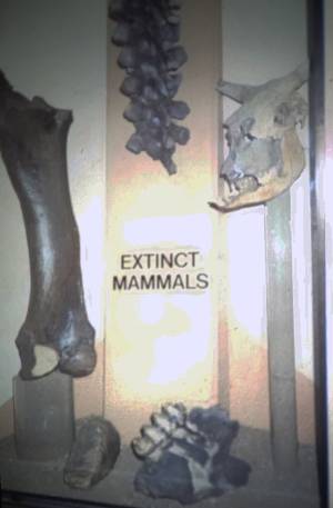 4ta vertical b 0004 capa