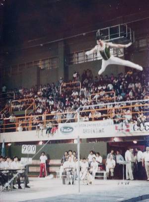 cruz del sur vert 1 0000 capa