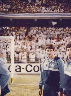 cruz del sur vert 1 0002 capa