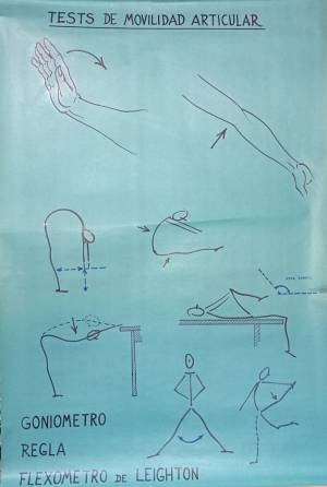 lam clases cursos 1 0000 capa