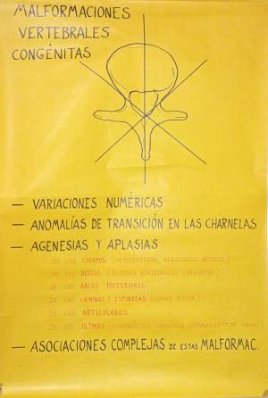 lam clases cursos 1 0004 capa