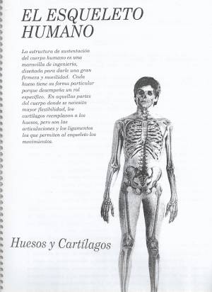 libros moro otro 1 0137 capa