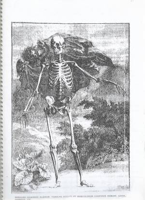 libros moro otro 1 0138 capa