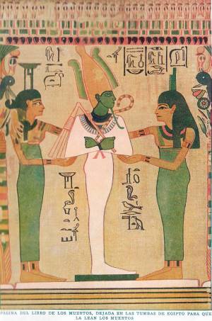 varias agrupar vert 1 0003 capa