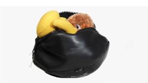 sesion 22 23 0013 capa