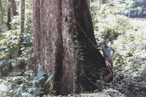 panam caracas 1983 hor 1 0008 capa