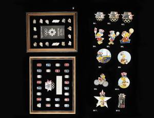 pins data 1 0000 capa