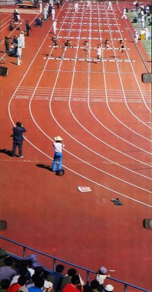 vert 7  0000 capa copia