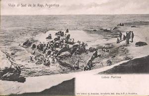 tar post hor 1 0050 capa