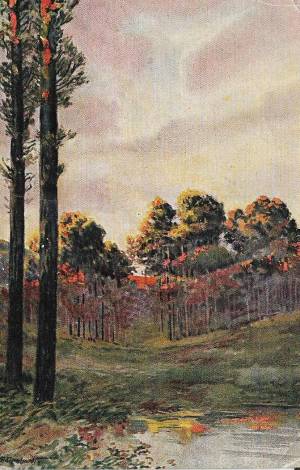 tar post vert 1 0006 capa