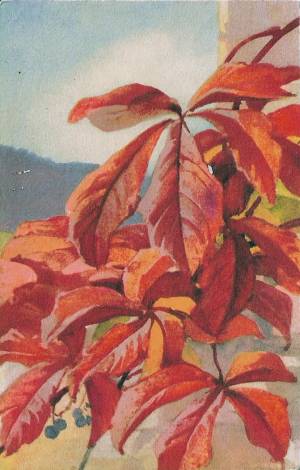 tar post vert 1 0010 capa