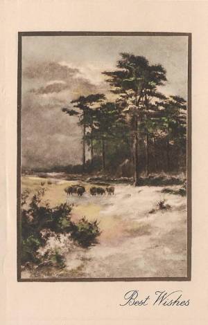 tar post vert 1 0017 capa