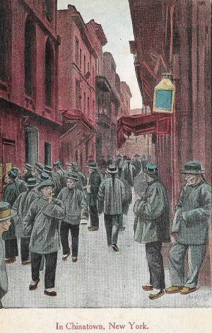 tar post vert 1 0031 capa