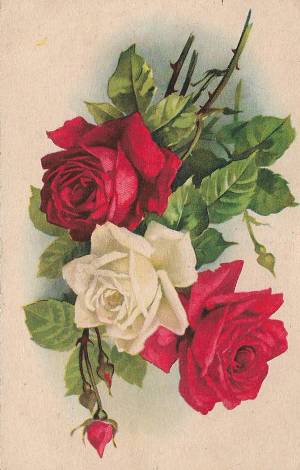 tar post vert 1 0037 capa