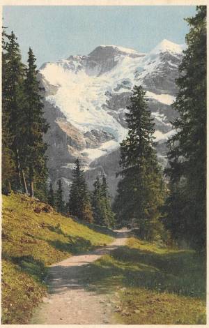 tar post vert 1 0043 capa