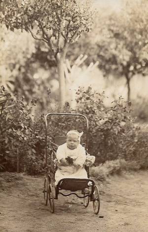 tar post vert 1 0050 capa