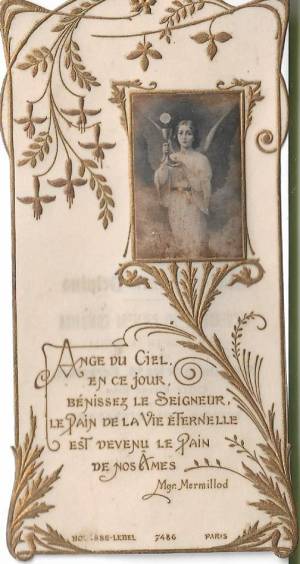 tar post vert 5 0000 capa